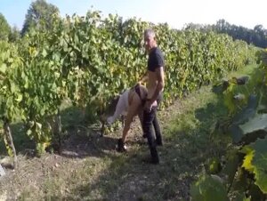 Zoccola italiana si fa scopare nel vigneto dall' agricoltore